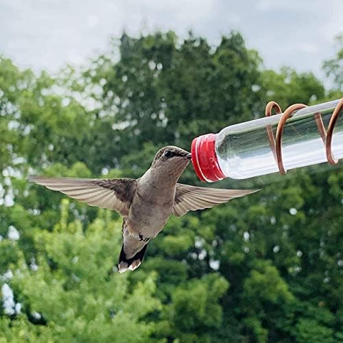 Extra Bottles for Hummingbird | Medicine Bottle Tube | Glass Feeder