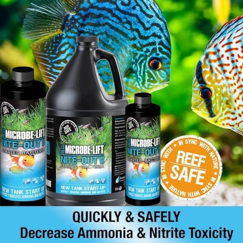 MICROBE-LIFT Nite-Out II Aquarium Bacteria for Start-up, Instantly Cycle Aquariums, Add Fish on Day 1, Rapid Ammonia and Nitrite Reducer for Freshwater & Saltwater Fish Tank, 16 Ounces (NITEH16)