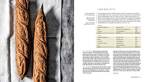 Mastering Bread: The Art and Practice of Handmade Sourdough, Yeast Bread, and Pastry [A Baking Book]