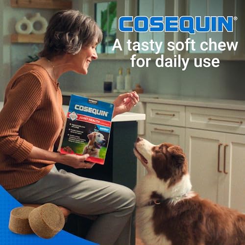 Nutramax Cosequin Dog Joint Supplement for Senior Dogs, Soft Chews, 60ct | Glucosamine + Chondroitin, MSM, Omega-3s, Beta-Glucan, Promotes Skin & Coat, Immune Health, Joint Support for Older Dogs