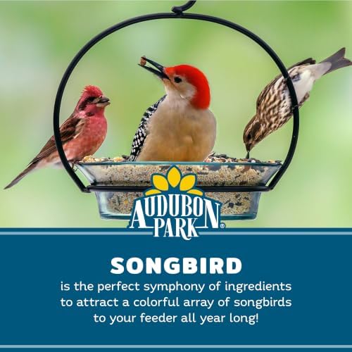 Audubon Park Songbird Blend Wild Bird Food, Bird Food for Outside Feeders, 14-Pound Bag | Year-round outdoor bird food for outside feeders
