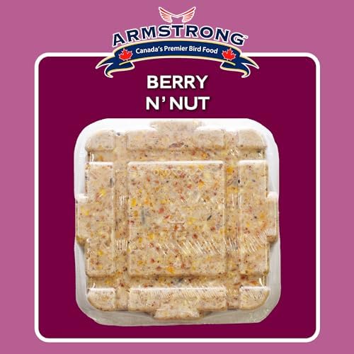 Armstrong Wild Bird Food Berry N' Nut Suet Cake, 11.3 Ounces (Pack of 3) - with Cut Corn, Rendered Beef Fat, White Millet
