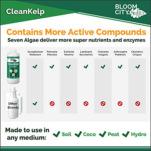 Bloom City Seaweed and Kelp Liquid Fertilizer for Plants, 32 oz | Encourages Strong Root Growth, Helps Ease Transplant Shock, Foliar Spray or Soil Drench, Indoor & Outdoor Garden Use