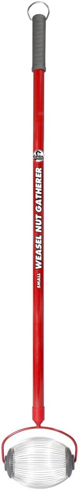 GARDEN WEASEL Small Nut Gatherer Roller for Acorns Buckeyes Beech Nuts