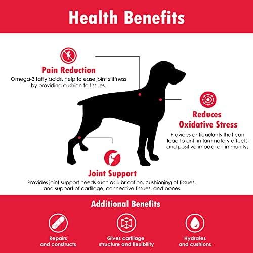 Double Strength (DS) Capsules for Dogs, Glucosamine, Chondroitin, Vitamins and Antioxidants