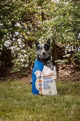 Tender & True Antibiotic-Free Chicken & Brown Rice Recipe Dog Food, 11 lb
