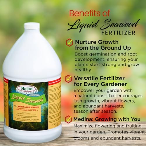 Medina Liquid Seaweed Fertilizer, 1 Gallon | For Plants, Concentrated, Lawn and Garden, Enhances Plant Growth and Soil Health, Ready to Spray, Covers 64000 Sq. Ft.
