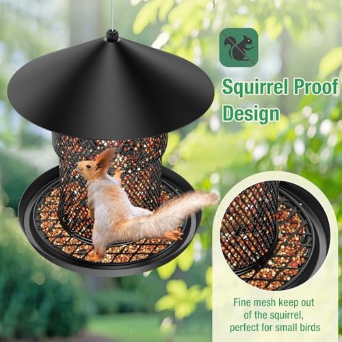 Bird Feeder for Outdoor Hanging