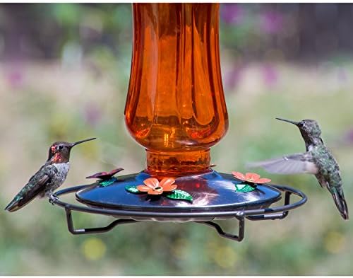 Perky-Pet PP8135 Vintage Carnival Glass Oriole Feeder
