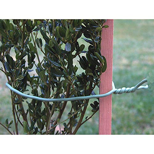 Luster Leaf 858 Rapiclip Soft Wire Tie Light Duty, 32', Green (2 Pack)