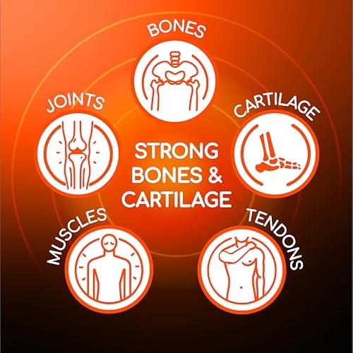 X Ray Dol Triple Action Joint Support Supplement, 60 Count, 1 Pack | Glucosamine 1500mg, Chondroitin 800mg, MSM 750mg, 5X Vitamin D, Supports Healthy Joints, Bones & Cartilage