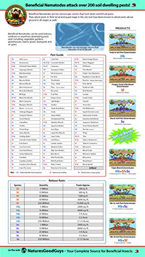 NaturesGoodGuys Beneficial Nematodes Steinernema feltiae SF - 5 Million