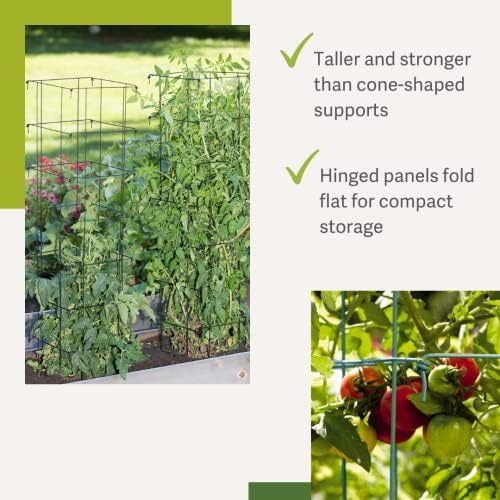 Gardener’s Supply Company Extra Tall Heavy-Guage Square Tomato Cages | Easy Fold Plant Supports & Vegetable Garden Stakes | 14.25" x 14.25" x 65"