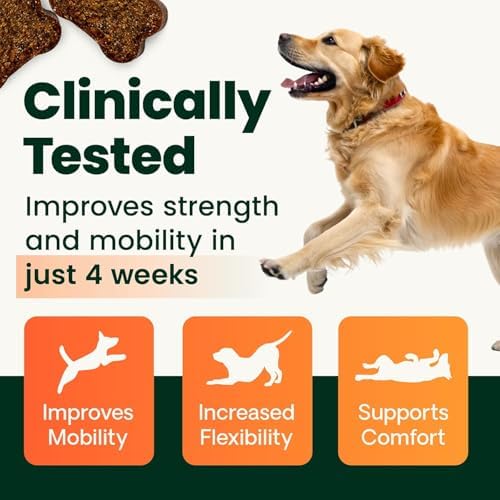 VetriScience Glycoflex 3 Clinically Proven Hip and Joint Supplement for Dogs - Maximum Strength Dog Supplement with Glucosamine, MSM, Green Lipped Mussel & DMG - 120 Count