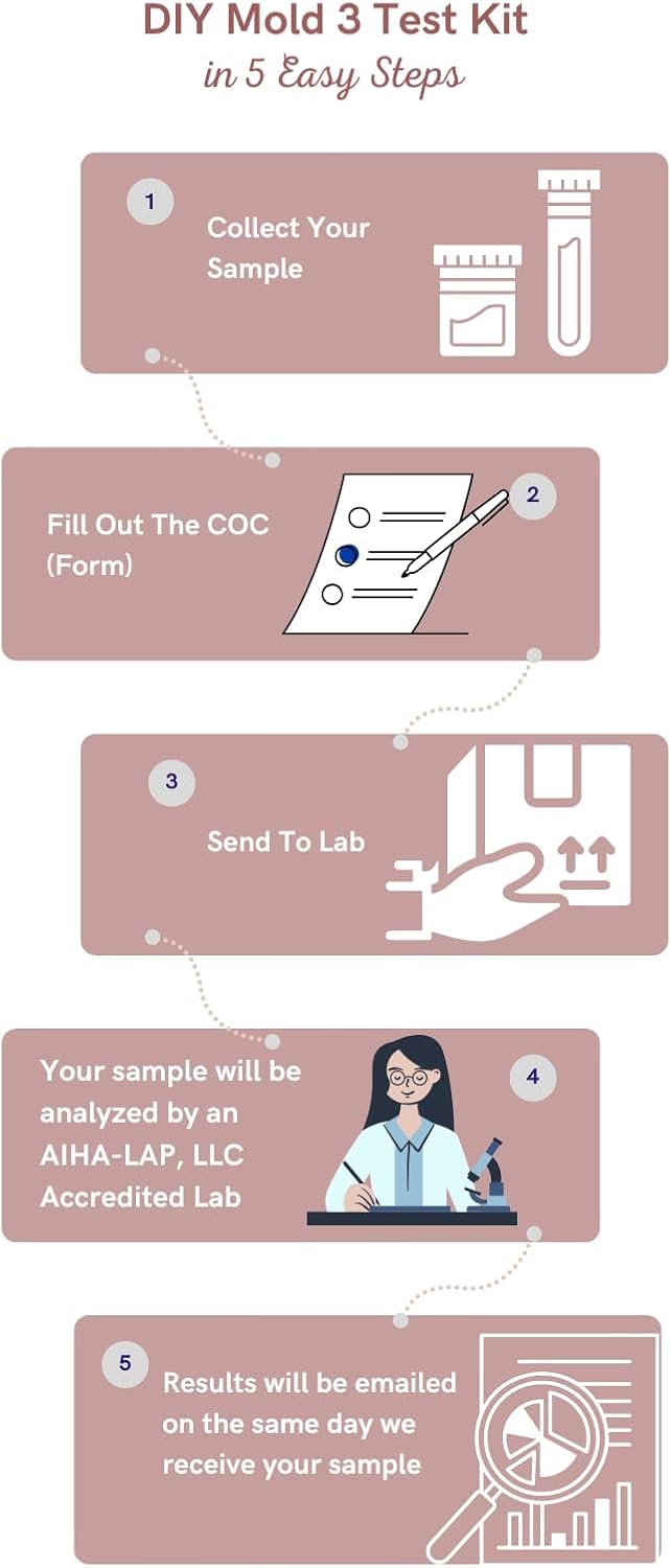 DIY Mold 3 Test Kit (Same Day Results) Expert Consultation and AIHA-LAP, LLC Accredited Lab Analysis Included