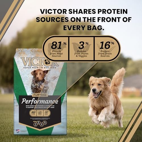 VICTOR Performance Dry Dog Food - Beef, Chicken & Pork Meal, 40 lb | Super Premium Dog Food, 26% Protein, For Active Adult Dogs, Includes Glucosamine and Chondroitin for Hip & Joint Health