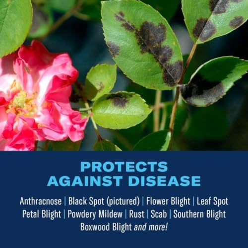 BioAdvanced Disease Control for Roses
