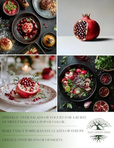 Pomegranate Tree Seeds (Punica granatum) – 30+ Non-GMO Fruit Tree Seeds for Planting, Beautiful Ornamental Tree with Sweet Edible Fruit