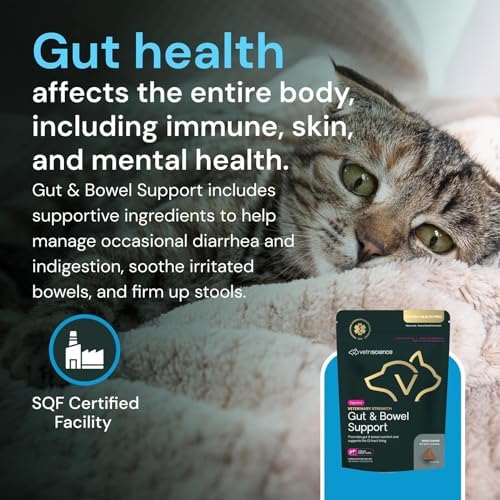 VETRISCIENCE Veterinary Strength Gut & Bowel Support for Dogs & Cats - Pet Digestive Health Supplement - Gut Health Formula - Intestinal Support