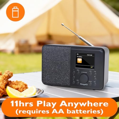 SR10 WiFi Radio, Bluetooth, FM & Internet, Walnut | 60 presets, dual alarms, colour display, OKTIV App control, podcast player, mains or AA battery, headphone jack, compact