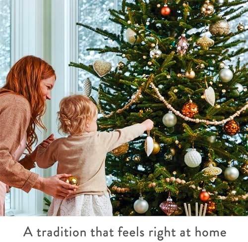 Thymes Frasier Fir Candles - Statement Collection - Silver with Pine Needle Design - Scented Candles for Home Decor - Notes of Siberian Fir Needles, Cedarwood & Sandalwood - Large 4 Wick (40 oz)