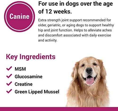 Re-Flex Ultra Extra-Strength Joint Support Dog Supplement – Includes MSM, Creatine, Glucosamine