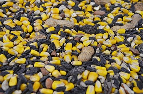 Critter Crunch Wildlife and Wild Bird Food, 20-Pound Bag