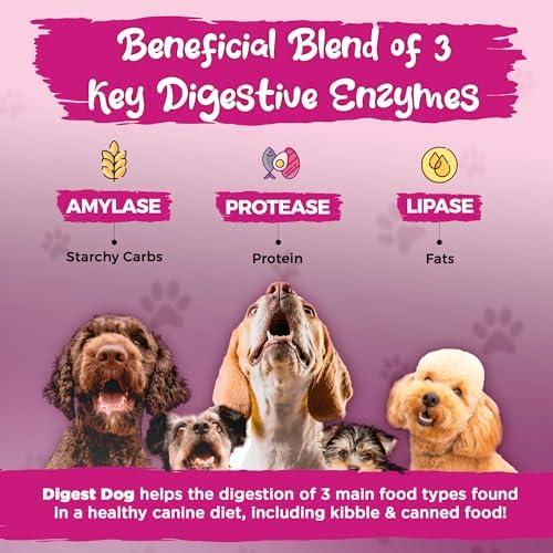 Vital Planet - Digest Dog Digestive Pancreatic Enzyme Blend with Pumpkin and Fennel to Support the Pancreas and Healthy Digestion with Pancreatin