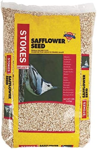 Red River Premium Safflower Bird Seed