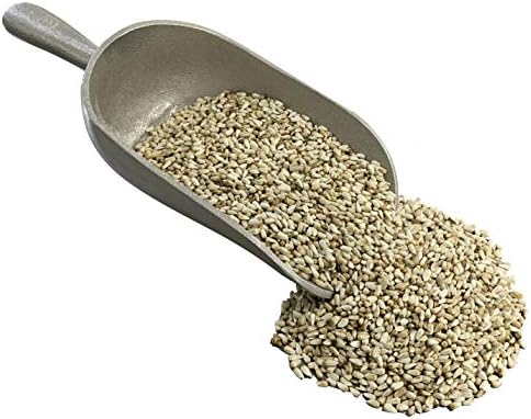 Safflower Wild Bird Seed | All-Natural, Premium Bird Seed (8 lbs Resealable Bag)