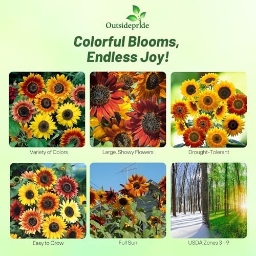 Outsidepride Autumn Beauty Sunflower Seeds for Planting - 1 Lb. Annual, Easy to Grow Flower Seeds w/Vibrant, Abundant Blooms for Cut Flower Arrangements & Pollinator & Vegetable Gardens