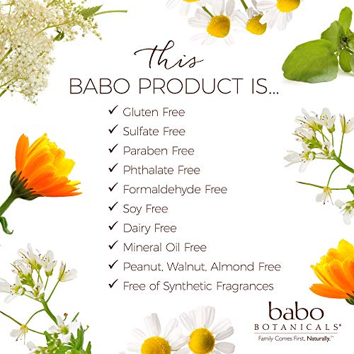 BABO Botanicals Sheer Zinc Mineral Sunscreen Sport Stick SPF30- Natural Zinc Oxide- Shea Butter- Fragrance-Free - Water Resistant - Made Safe Certified