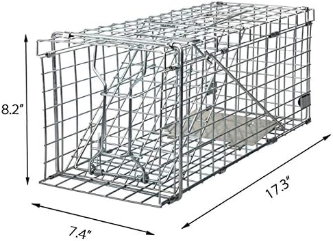 Gingbau Squirrel Trap Foldable Heavy Duty Humane Live Animal Cage Trap (Not for Mouse)