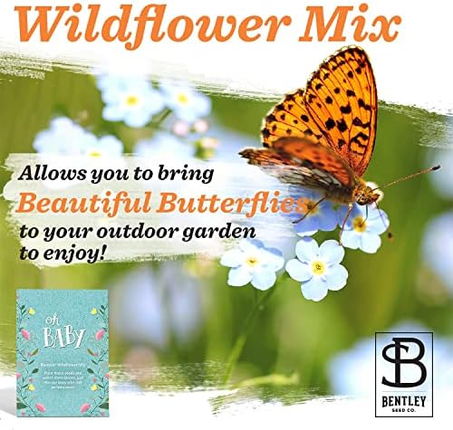 BENTLEY SEED CO. Oh Baby Flower Seeds Packets - Girl/Boy Baby Shower Favors - Pre-Filled