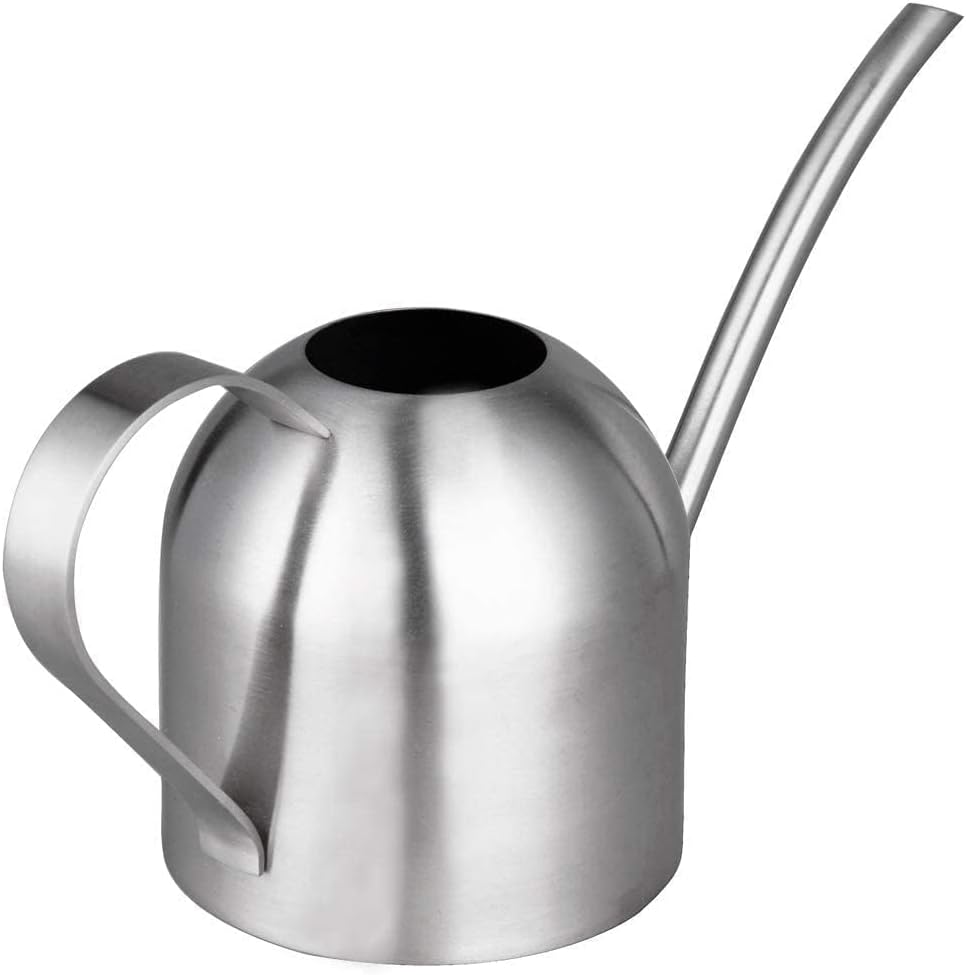 IMEEA Indoor Watering Can for House Plants 33oz/1L Brushed Stainless Steel Watering Can with Long Spout for Succulents, Bonsai