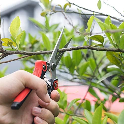 WYF Pruning Scissors, Professional Garden Shears - Straight Stainless Steel Blades - Sharp Gardening Hand Pruner for Garden Harvesting Fruits
