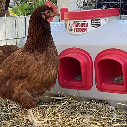 OverEZ Chicken Feeder - Holds 50 Pounds of Feed - Inside or Outside Hen Coop - Large Gravity Fed Automatic Poultry Dispenser - No Waste Rainproof
