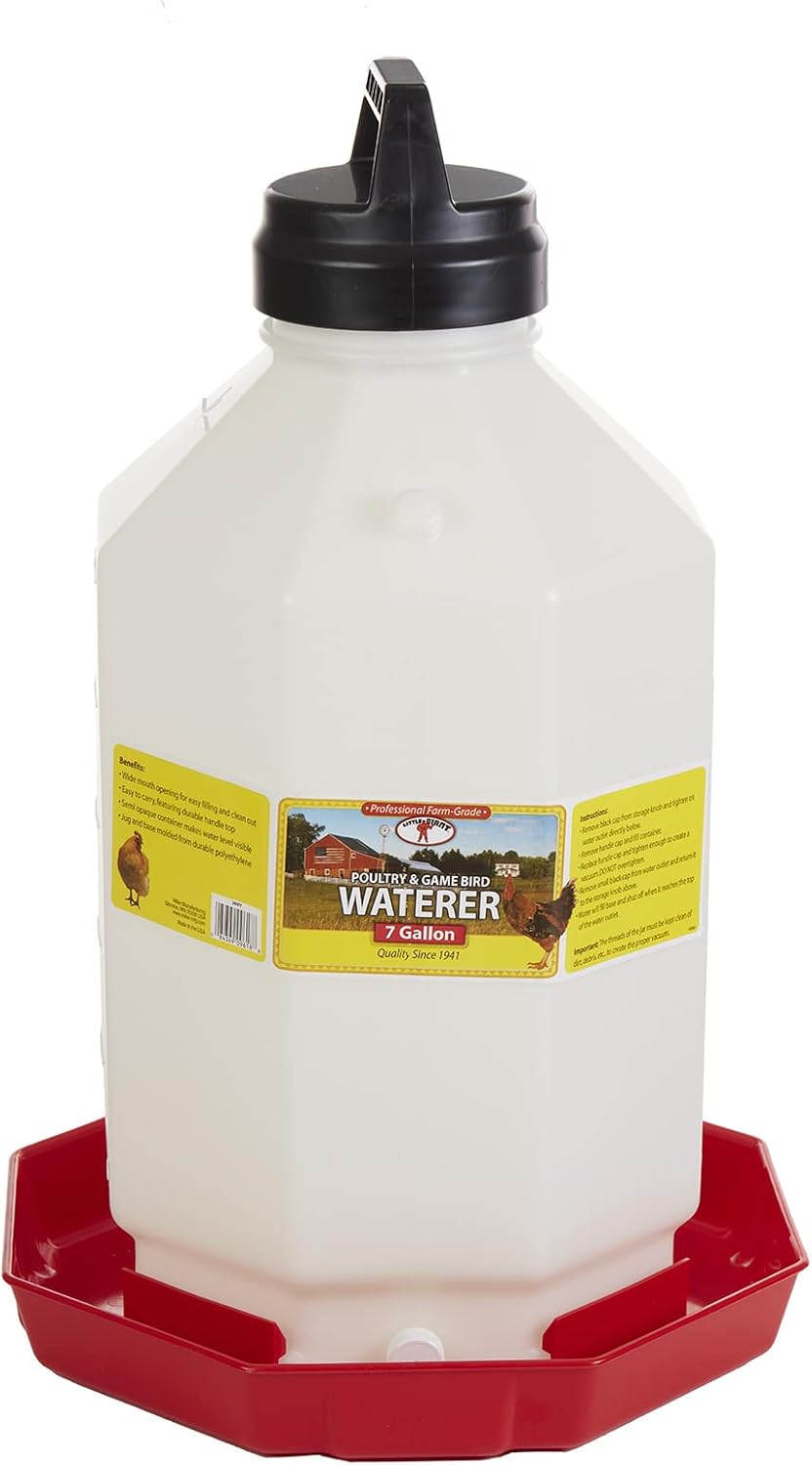 Little Giant® Plastic Poultry Waterer | Heavy Duty Plastic Gravity Fed Water Container | Easy to Fill | Snap on Jar | 7 Gallons