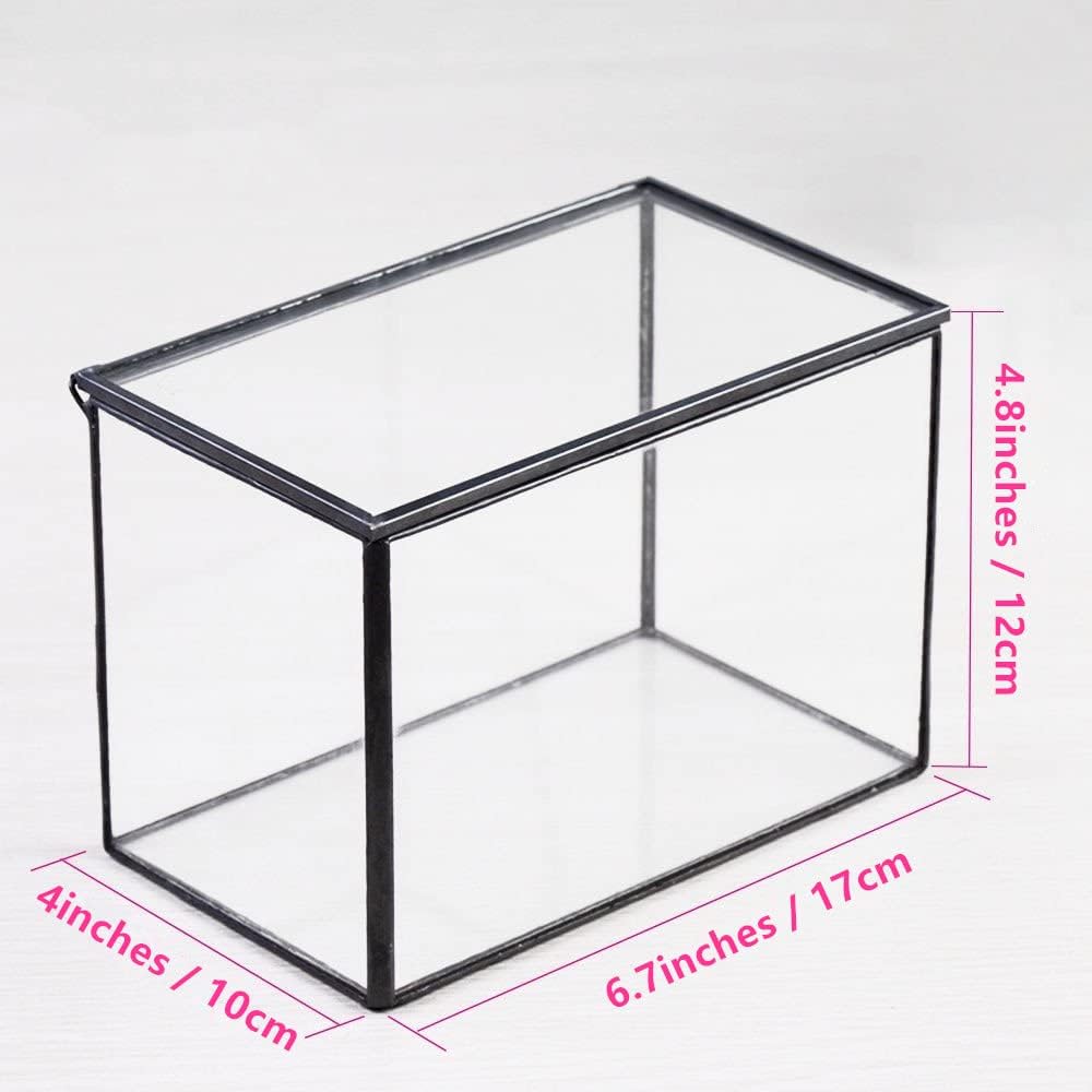 NCYP 6.7 x 4 x 4.8 Inch Small Glass Terrarium Planter with Lid, Clear Glass Box Container for Succulents, Air Plant, Moss, Ferns, Cactus