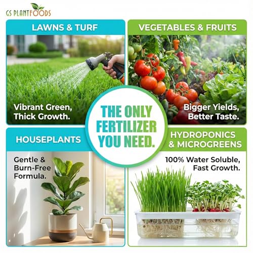 Ocean Magic Sea Mineral Fertilizer by GS Plant Foods(1 Gallon) - Soil Mineral Health Improvement Liquid Concentrate - Sea Minerals for Lawn and Turf, Gardens & House Plants