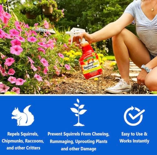 Nature's Mace Squirrel Mace Repellent 40 oz Spray | Squirrel and Chipmunk Repellent, Keep Squirrels Out of Your Garden, Attic, Bird Feeders, Fruit Trees, Plants, Potted Plants.
