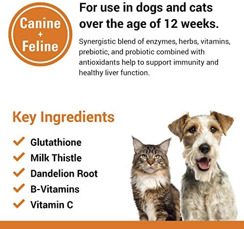 Liver Support Pet Health Supplement for Dogs, Cats – Liver Functions – B-Vitamins, Glutathione, Milk Thistle – Soft Tablets, Chews – 60 Chewable Tablets