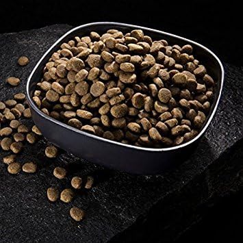 CRAVE Grain Free High Protein Natural Adult Dry Dog Food, Lamb, 4 lb | 34% protein, real animal protein, no by-product meal, no corn, wheat, soy, no artificial flavors, energy support