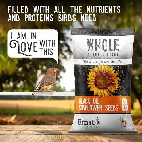 Ernst Grain & Livestock Black Oil Sunflower Seeds - Birdseed for Outside Feeders Wild Bird Food - Ideal Bird Seed for Cardinals