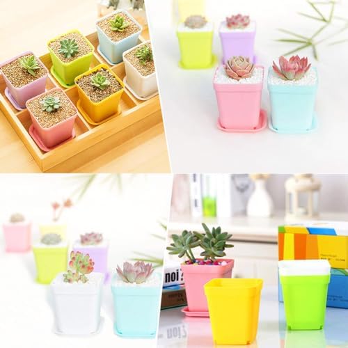 Haawooky 24 Pack Colorful Flower Pots Square Plastic Plant Pots Succulent Planter Nursery Pots with Saucers for Your Room