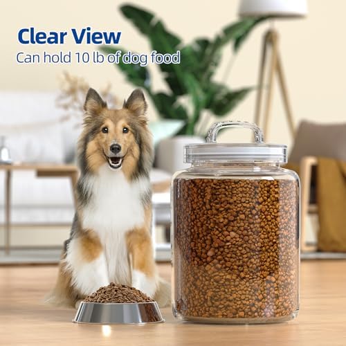 3 Gallon Glass Jar with Airtight Lid, Wide Mouth Large Glass Container