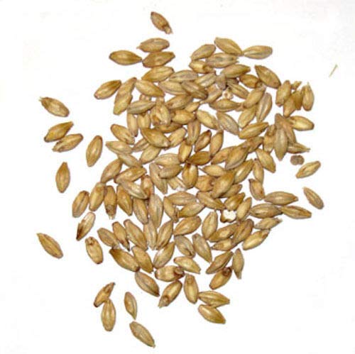 RAHR 6-Row Malted Barley 2 LBS CRUSHED Home Brewing Beer Making Recipe Ingredients Vacuum Sealed 1 Gallon Small Batch