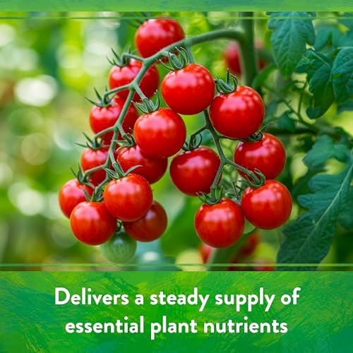 Down To Earth All Natural Fertilizers Organic All Purpose - 4-6-2, 25 lb | Plant Food for Tomatoes, Peppers, Eggplant, Squash, Herbs, Flowers
