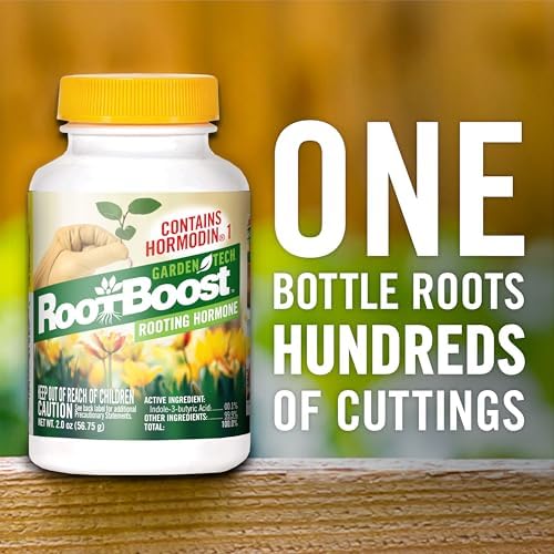 RootBoost Rooting Hormone, Rooting Powder for Plant Cuttings, 2 Ounces | Propagation for indoor and outdoor plants, container gardens and garden ornamentals, contains Hormodin 1
