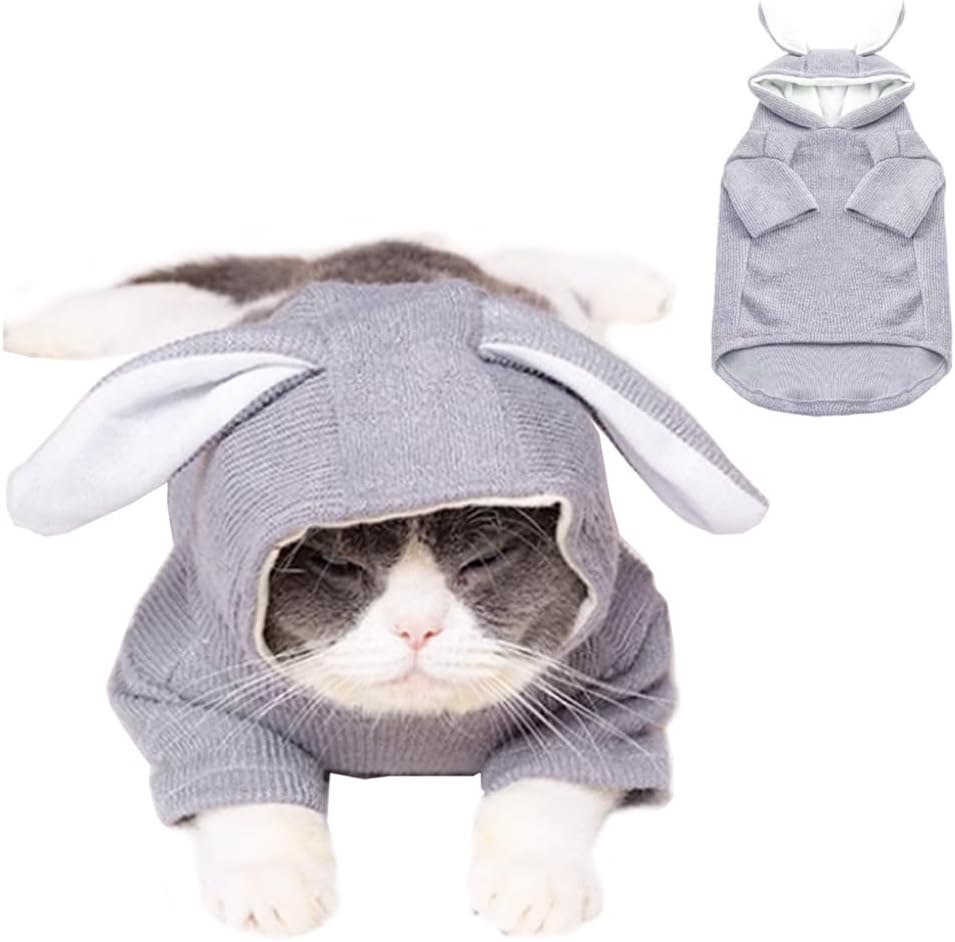 ANIAC Dog Hoodies Sweatshirt with Bunny Ears Spring Puppy Clothes for Small Dog Girl Boy Soft Doggy Sweater Cat Apparel Pet Clothing for Kitten